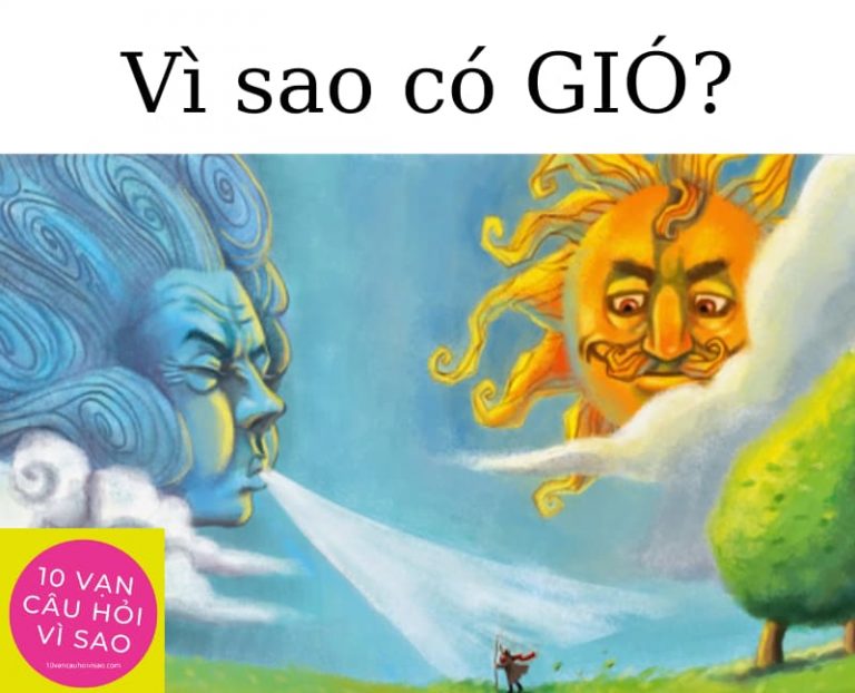 vi-sao-co-gio