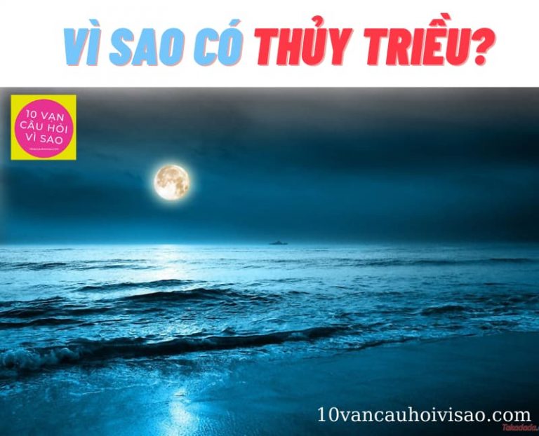 vi-sao-co-thuy-trieu