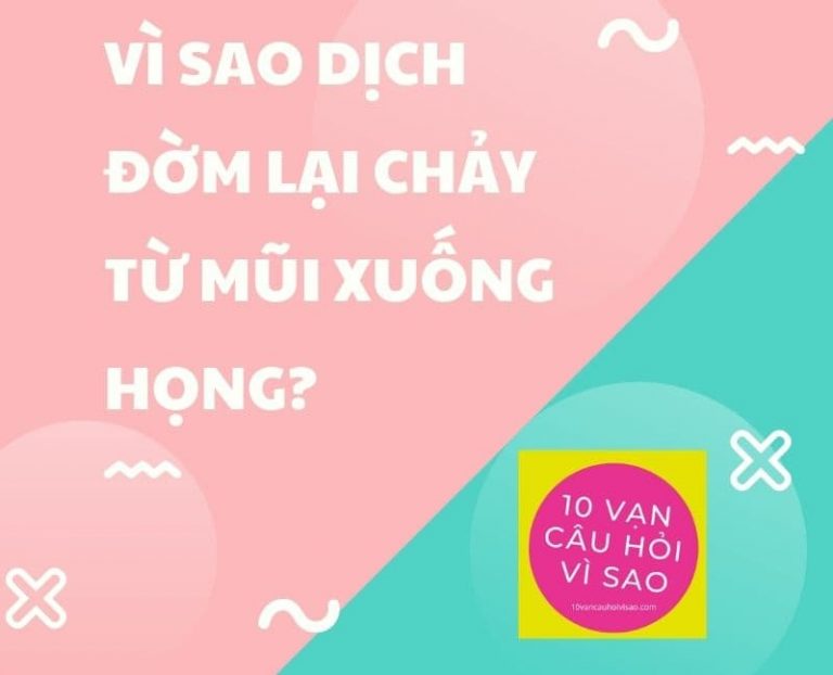 vi-sao-dich-dom-lai-chay-tu-mui-xuong-hong