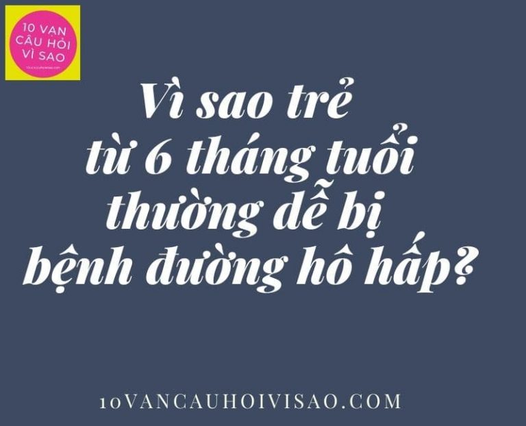 vi-sao-tre-tu-6-thang-tuoi-de-bi-benh-duong-ho-hap