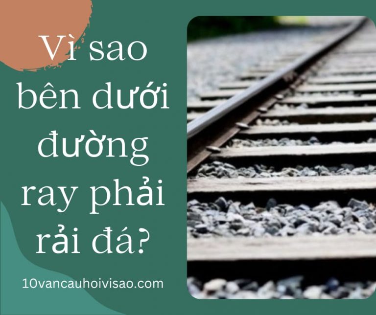 vi-sao-ben-duoi-duong-ray-phai-rai-da