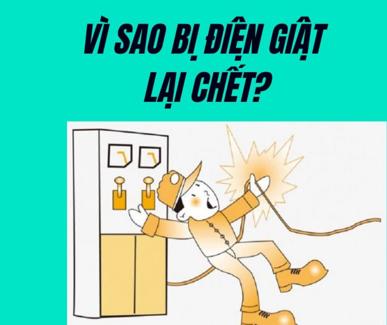 vi-sao-bi-dien-giat-lai-chet