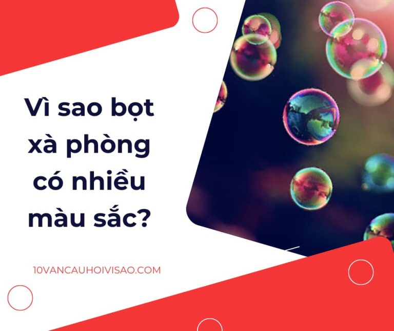 vi-sao-bot-xa-phong-co-nhieu-mau-sac