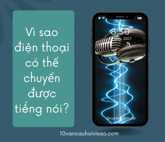 vi-sao-dien-thoai-co-the-chuyen-duoc-tieng-noi