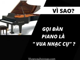 vi-sao-goi-dan-piano-la-vua-nhac-cu