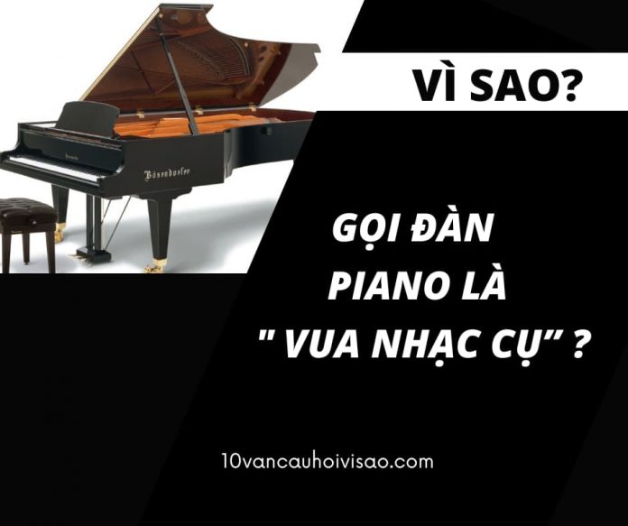 vi-sao-goi-dan-piano-la-vua-nhac-cu