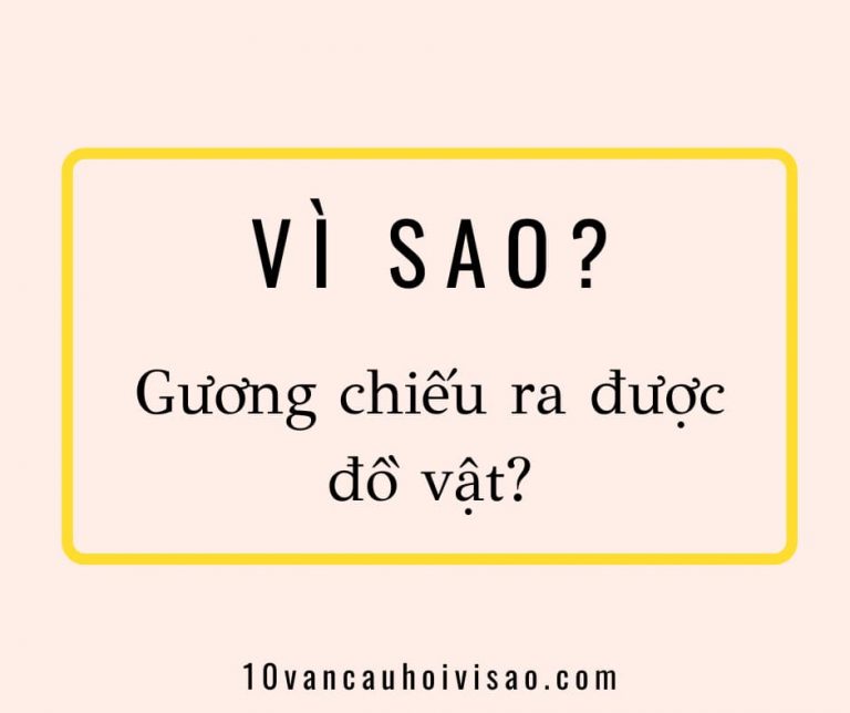 vi-sao-guong-chieu-ra-duoc-do-vat