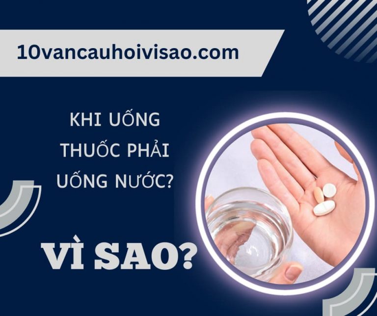 vi-sao-khi-uong-thuoc-phai-uong-nuoc