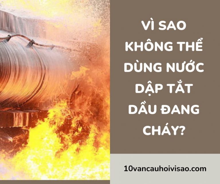 vi-sao-khong-the-dung-nuoc-dap-tat-dau-dang-chay