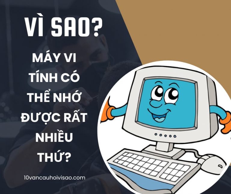 vi-sao-may-vi-tinh-co-the-ghi-nho-rat-nhieu-thu