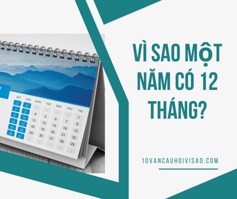 vi-sao-mot-nam-co-muoi-hai-thang