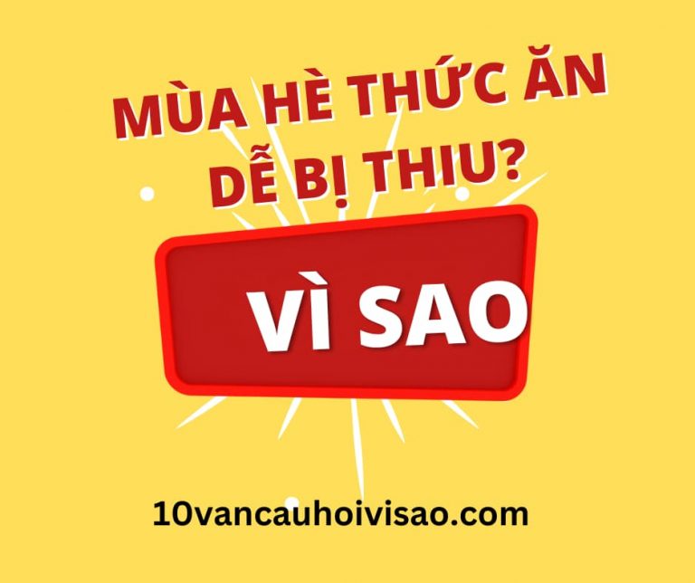 vi-sao-mua-he-thuc-an-de-bi-thiu