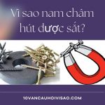 vi-sao-nam-cham-co-the-hut-duoc-sat
