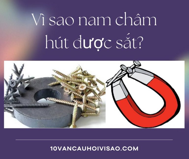 vi-sao-nam-cham-co-the-hut-duoc-sat