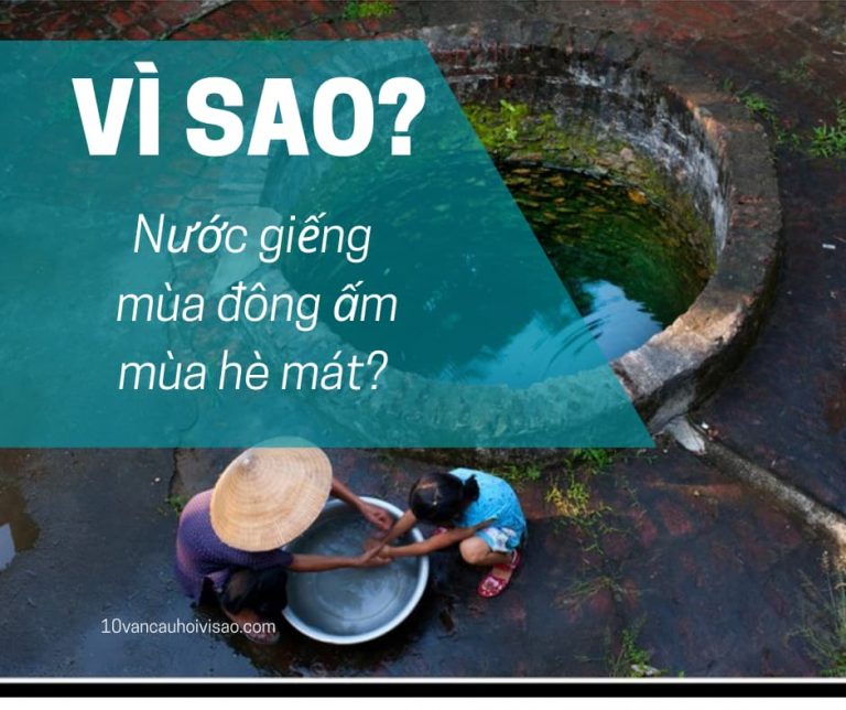 vi-sao-nuoc-gieng-mua-he-mat-mua-dong-am