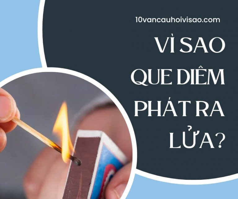 vi-sao-que-diem-phat-ra-lua