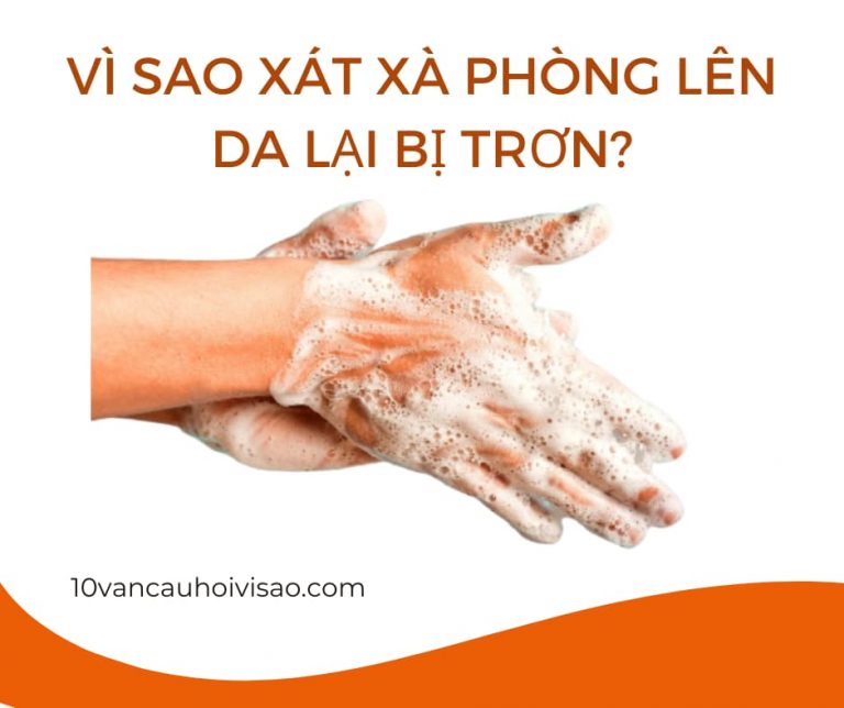 vi-sao-sat-xa-phong-len-tay-lai-tron