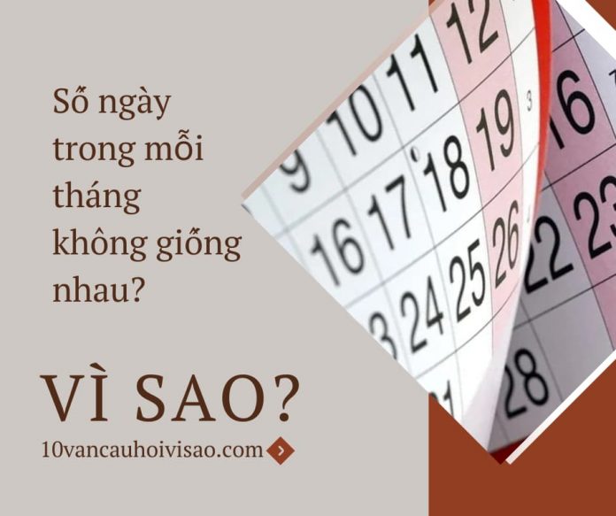 Nhấn vào ảnh để phóng to vi-sao-so-ngay-trong-moi-thang-khong-giong-nhau