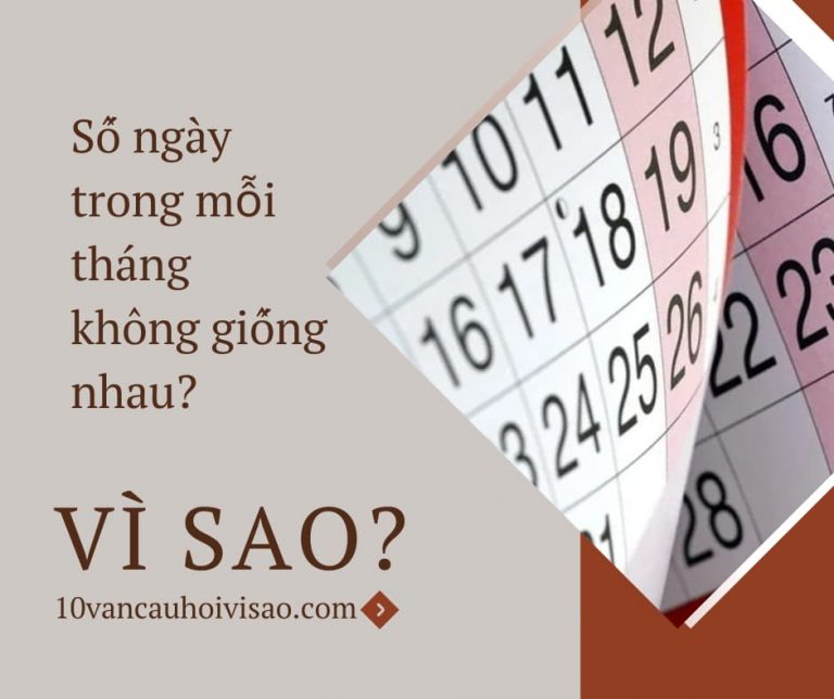 vi-sao-so-ngay-trong-moi-thang-khong-giong-nhau