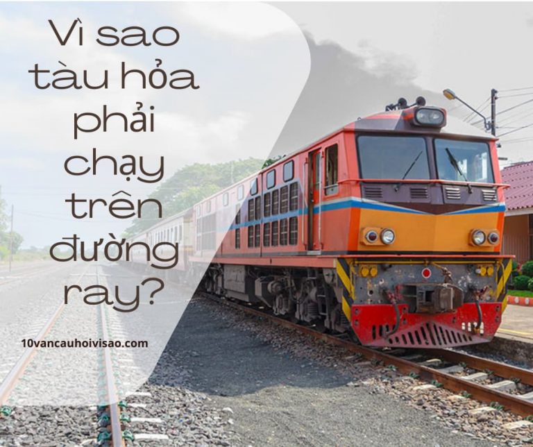 vi-sao-tau-hoa-chay-tren-duong-ray