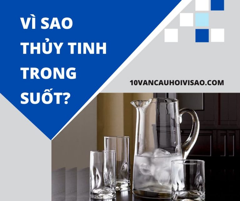 vi-sao-thuy-tinh-trong-suot