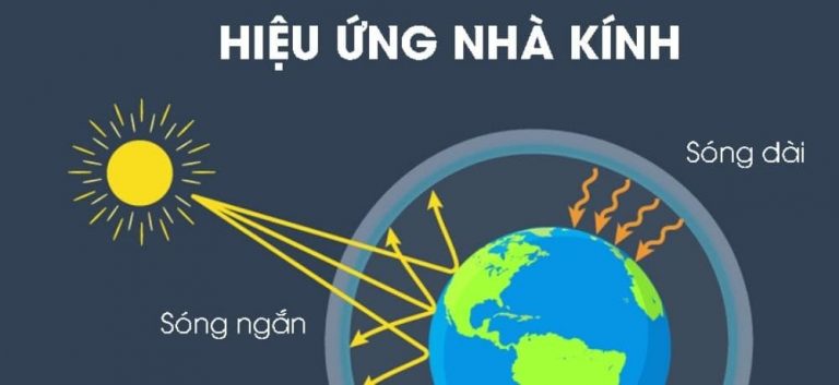 Hiệu ứng nhà kính là gì?