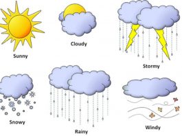 Các yếu tố ảnh hưởng đến dự báo thời tiết