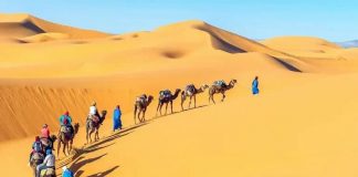 Vì sao sa mạc ngày càng mở rộng