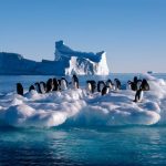 Vì sao phải quan trắc khí tượng Nam Cực?