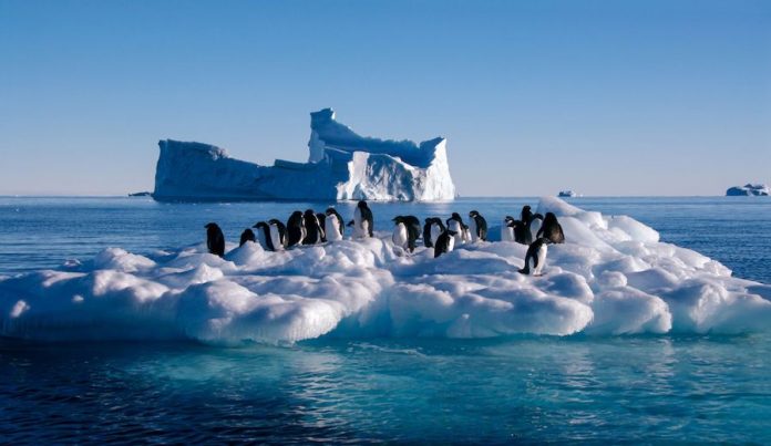 Vì sao phải quan trắc khí tượng Nam Cực?