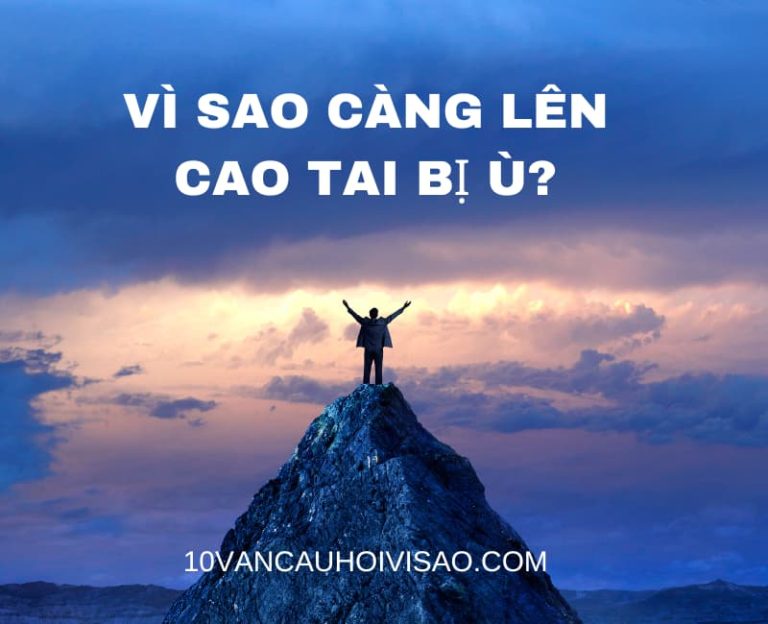 Vì sao càng lên cao tai bị ù