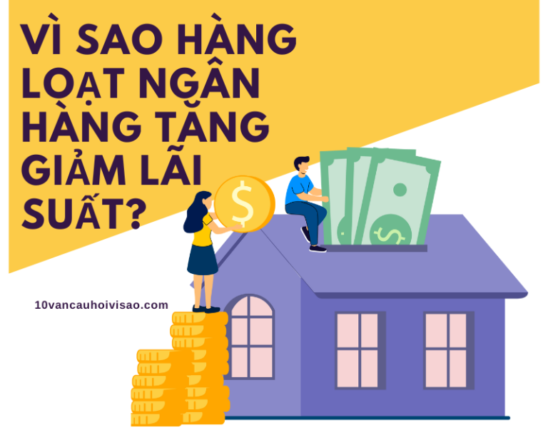 Vì sao hàng loạt ngân hàng tăng giảm lãi suất