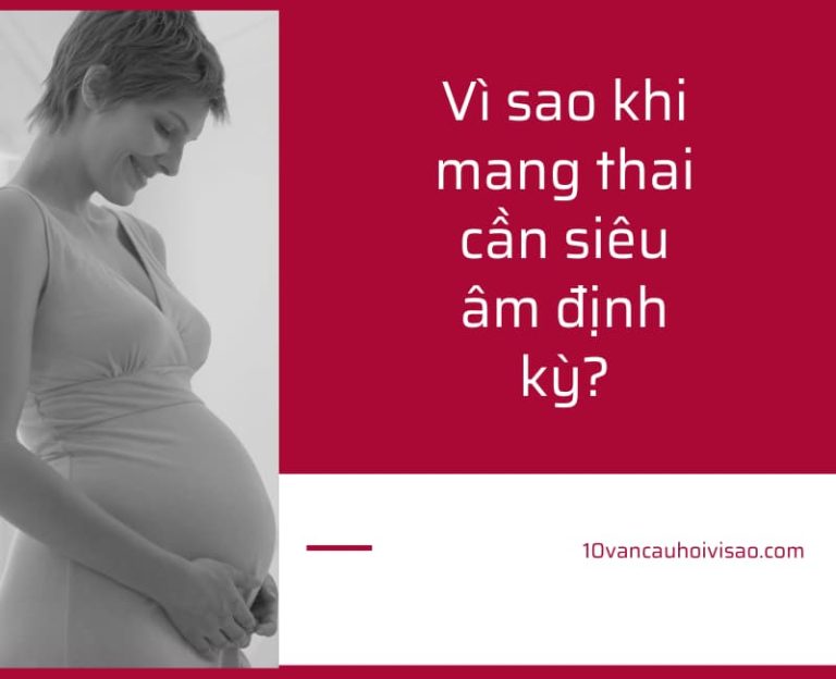 Vì sao khi mang thai cần siêu âm định kỳ