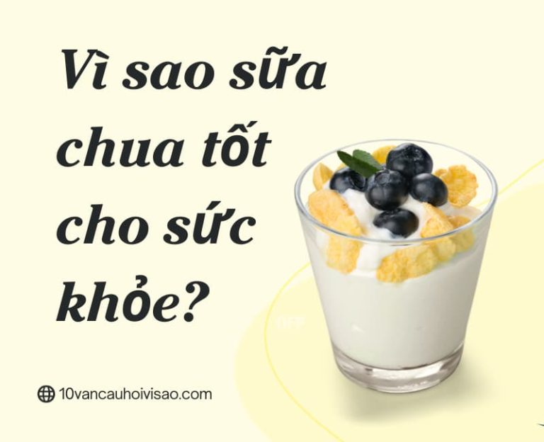 Vì sao sữa chua tốt cho sức khỏe