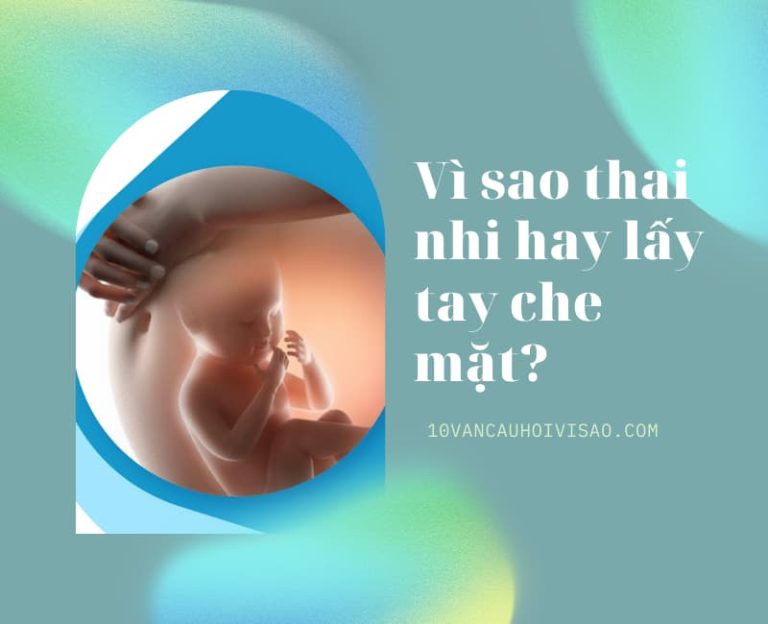 Vì sao thai nhi hay lấy tay che mặt