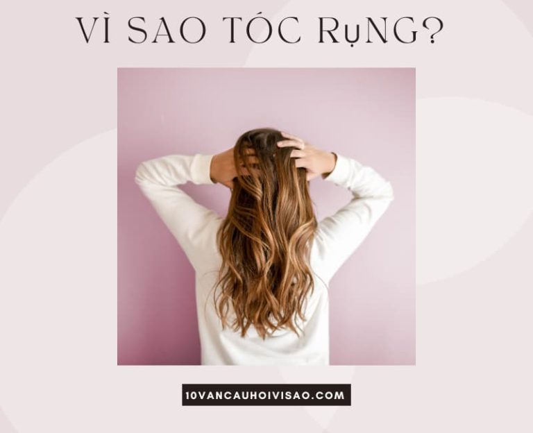 Vì sao tóc rụng