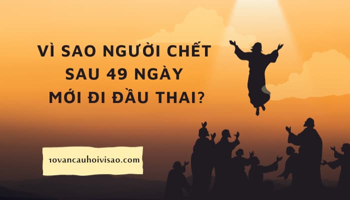 chet-sau-49-ngay-duoc-dau-thai