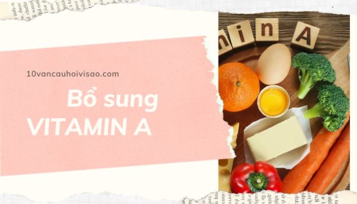 vi-sao-can-bo-sung-vitamin-A