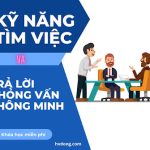 ky-nang-tim-viec-va-tra-loi-phong-van-thong-minh