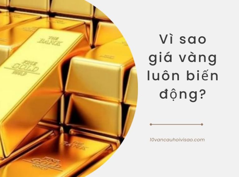 giá vàng luôn biến động