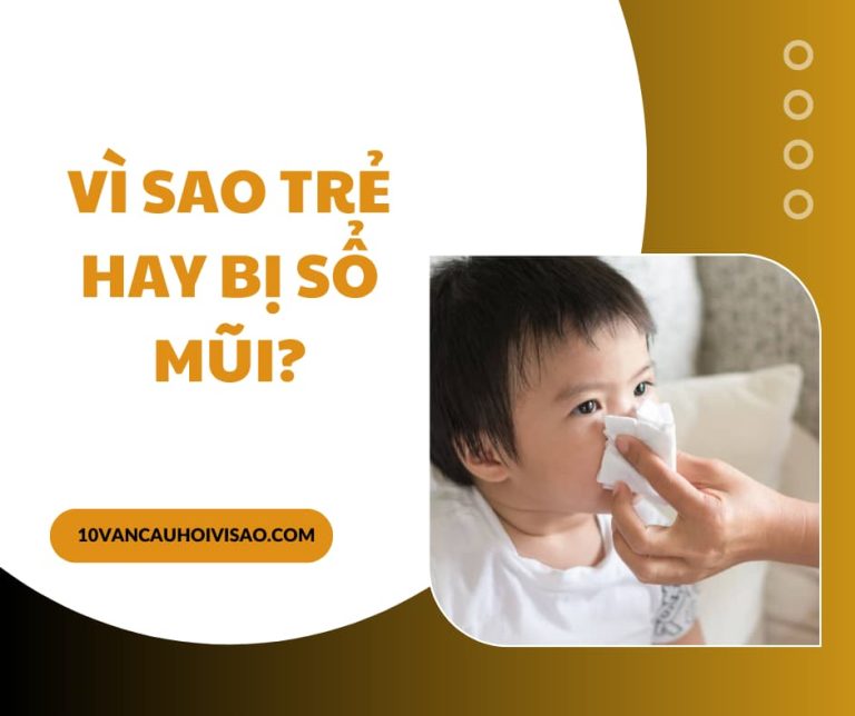 Vì sao trẻ hay bị sổ mũi?