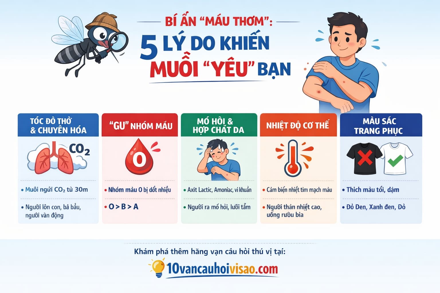 Tại sao muỗi chỉ đốt một số người nhất định Giải mã bí ẩn máu thơm