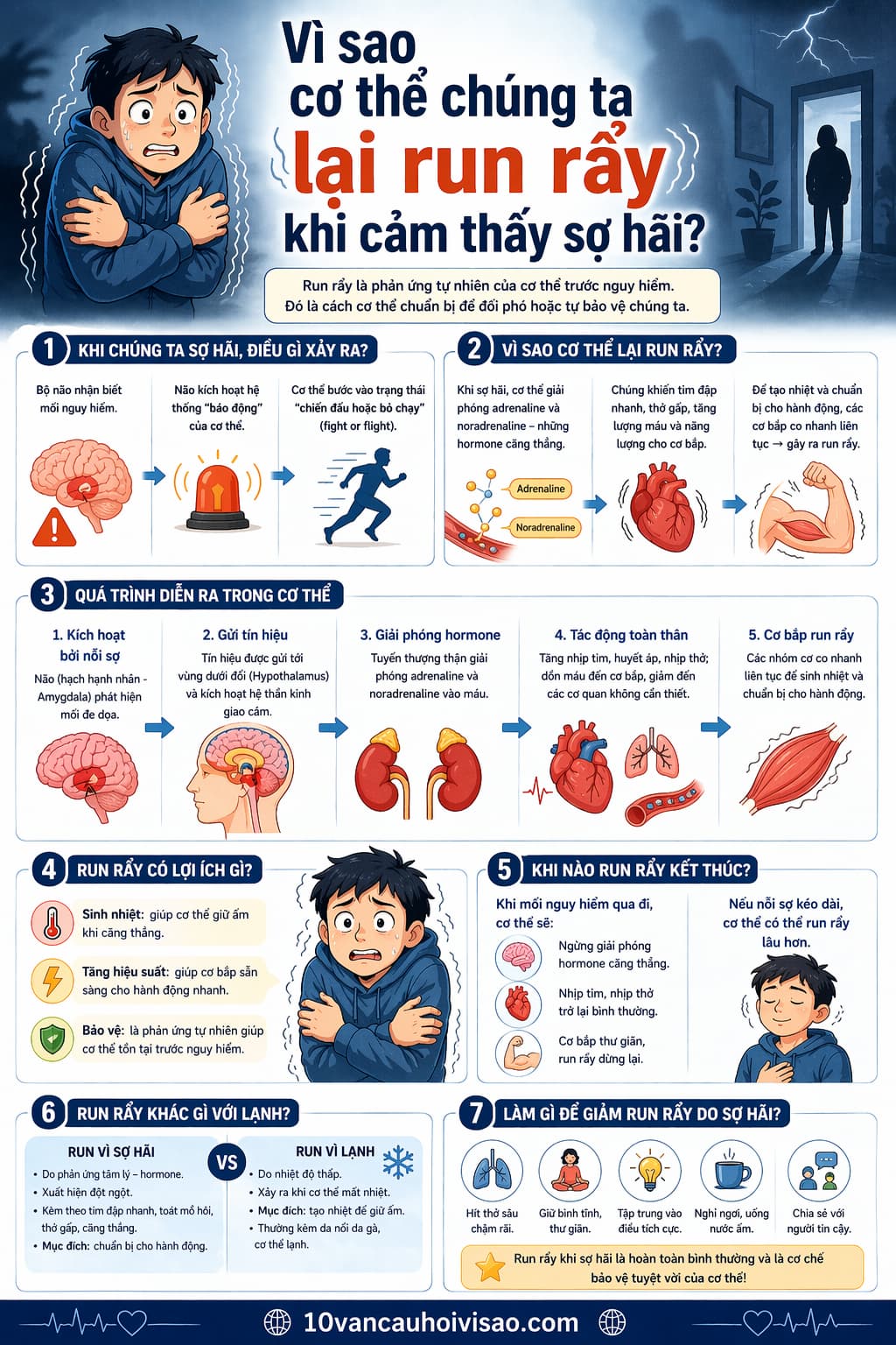 Vì sao cơ thể chúng ta lại run rẩy khi cảm thấy sợ hãi